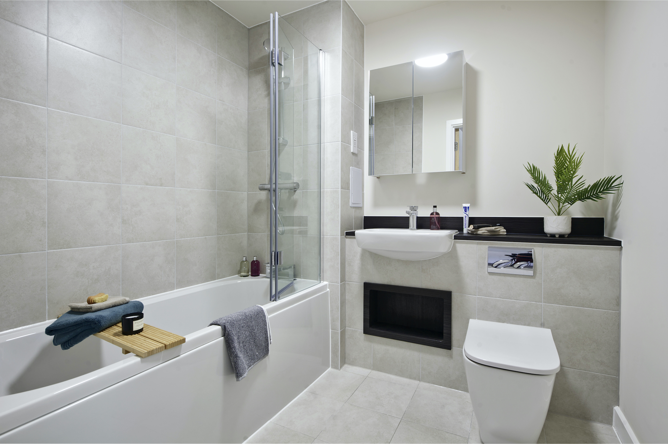 Apartments to Rent by Una Living in Springfield Parkside, Tooting, SW17, bathroom