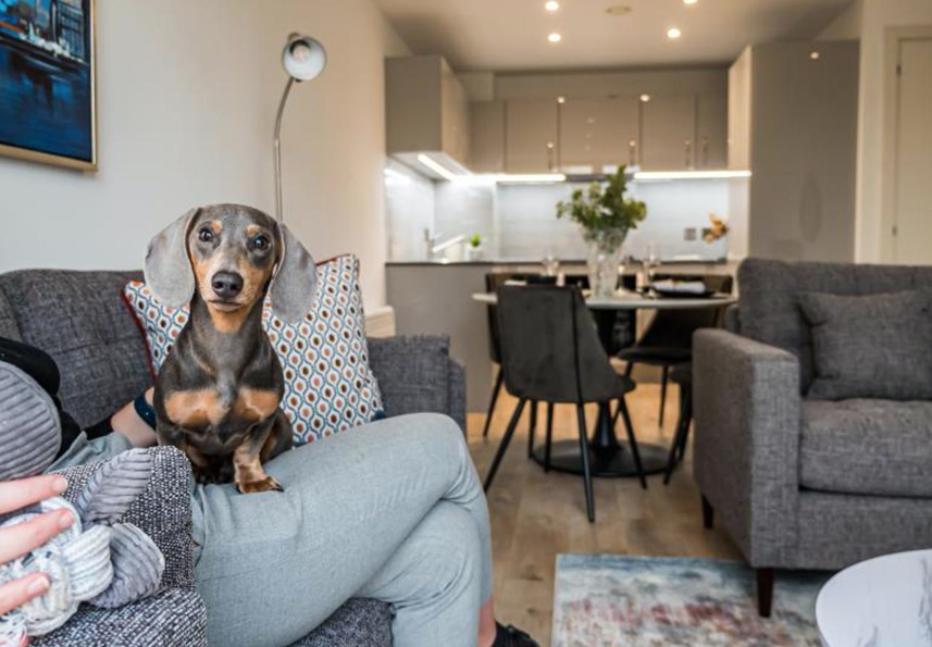 Apartments to Rent by Northern Group at The Quarters, Manchester, M1, living kitchen dining area