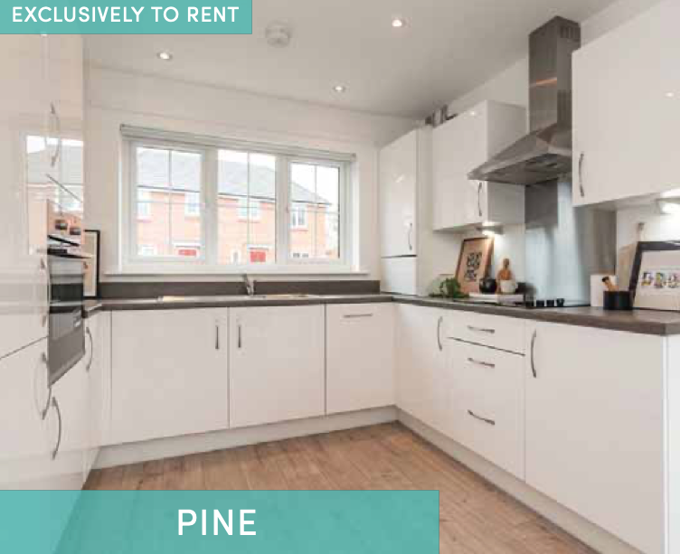 Houses and Apartments to Rent by Simple Life in The Gateway, Ardwick, Greater Manchester, M12, The Pine kitchen