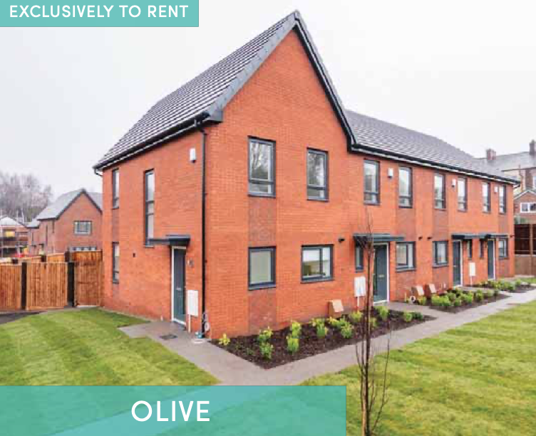 Houses and Apartments to Rent by Simple Life in The Gateway, Ardwick, Greater Manchester, M12, The Olive building panoramic