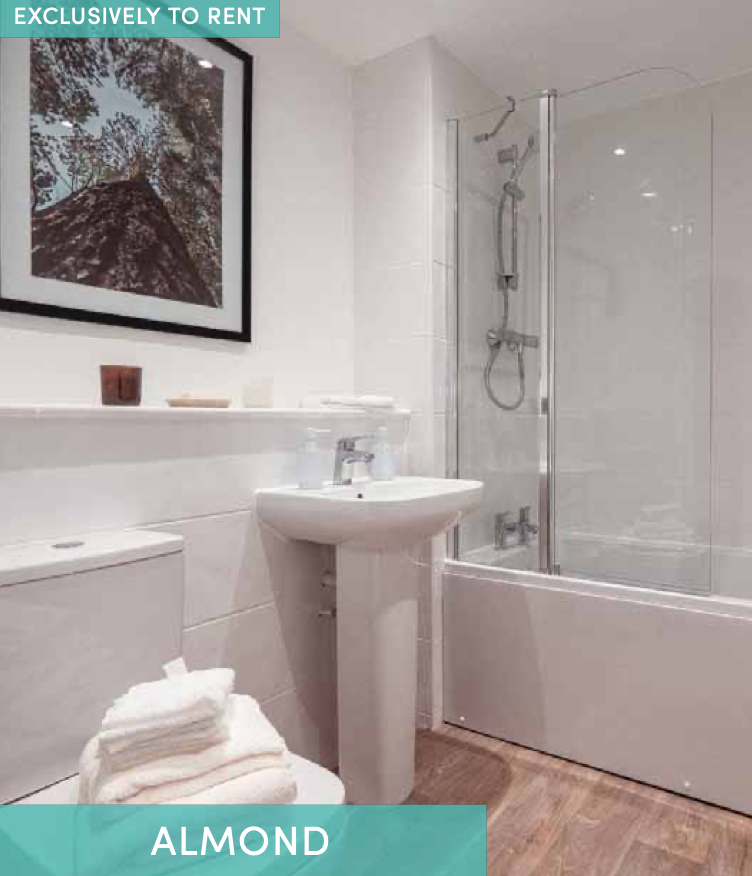 Houses and Apartments to Rent by Simple Life in The Gateway, Ardwick, Greater Manchester, M12, The Almond bathroom